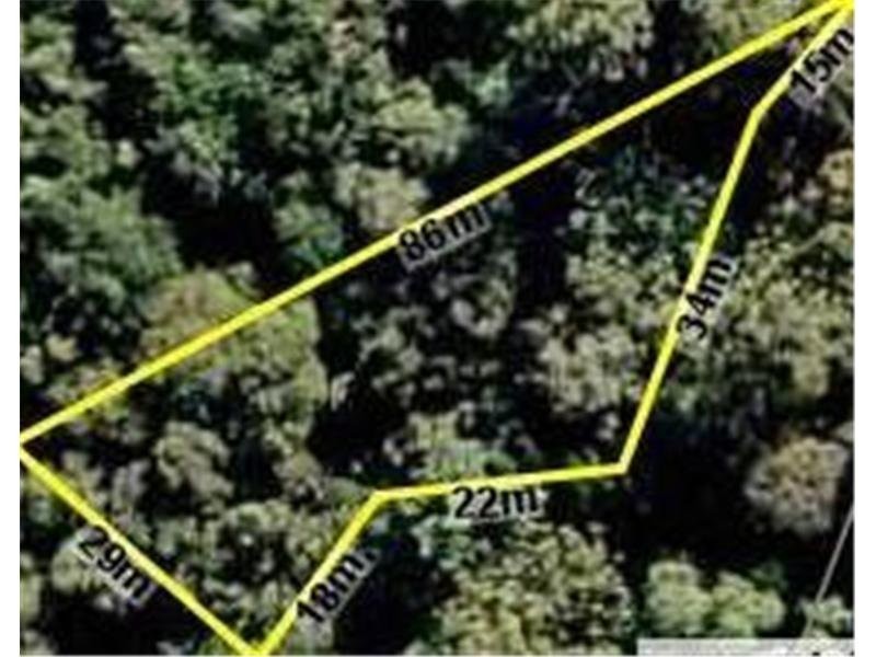 62 Kyte Street, Currumbin Valley QLD 4223