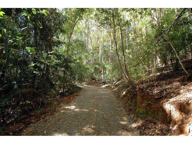 62 Kyte Street, Currumbin Valley QLD 4223