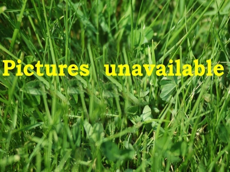 50 Croanna Street, Rye VIC 3941