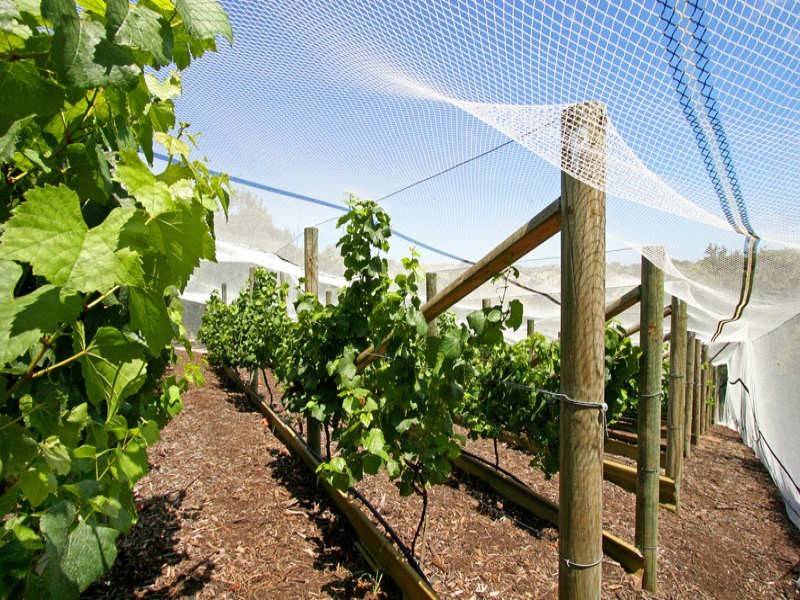 60 Whitecliffs Road, Rye VIC 3941