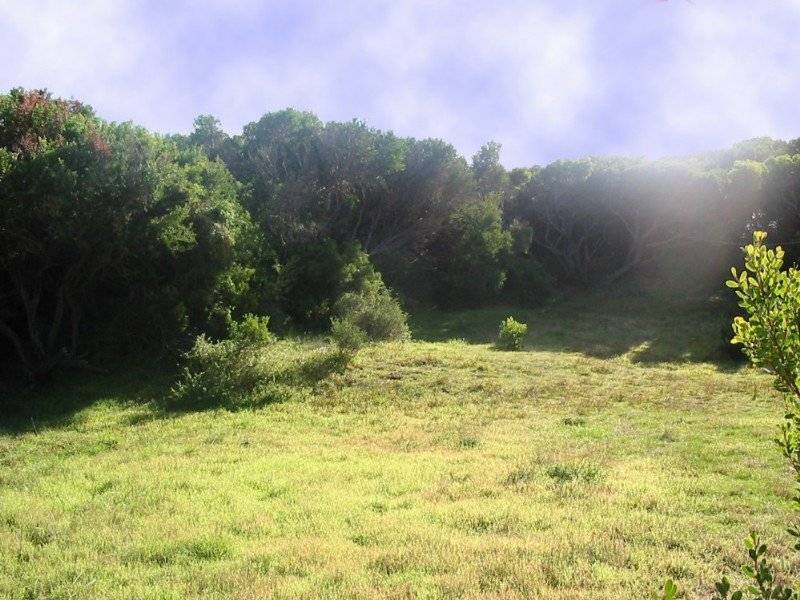 459 Dundas Street, St Andrews Beach VIC 3941