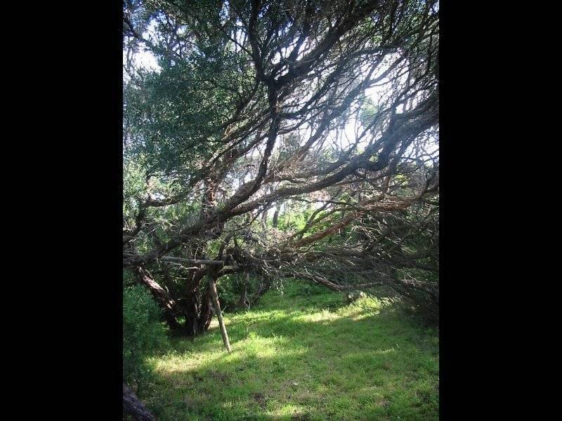 457 Dundas Street, St Andrews Beach VIC 3941