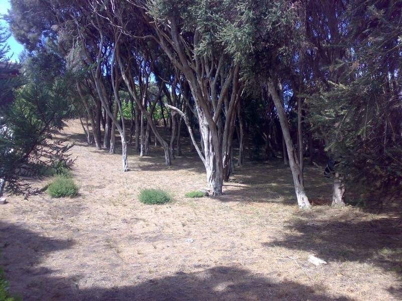 15 Felecia Street, Rye VIC 3941