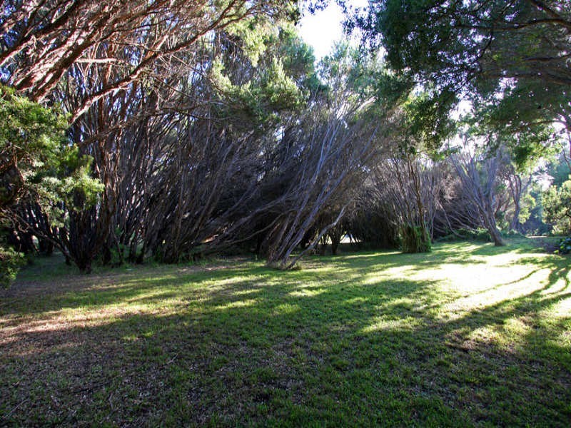 521 Dundas Street, St Andrews Beach VIC 3941