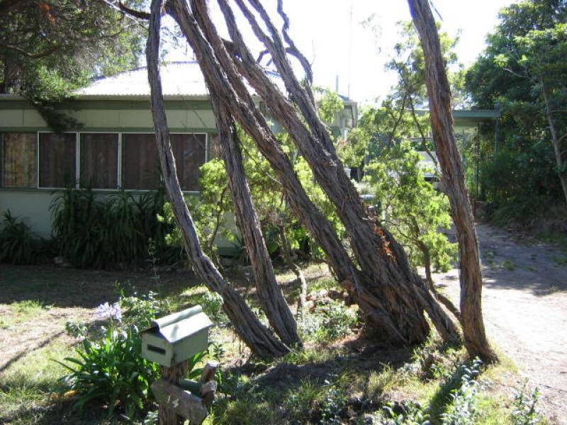 14 Eliza Street, Blairgowrie VIC 3942