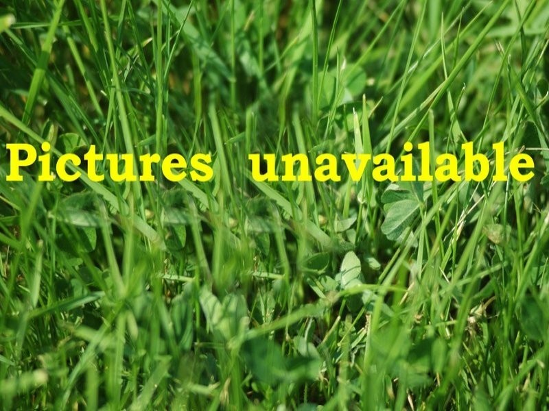 11 Doe Street, Rye VIC 3941