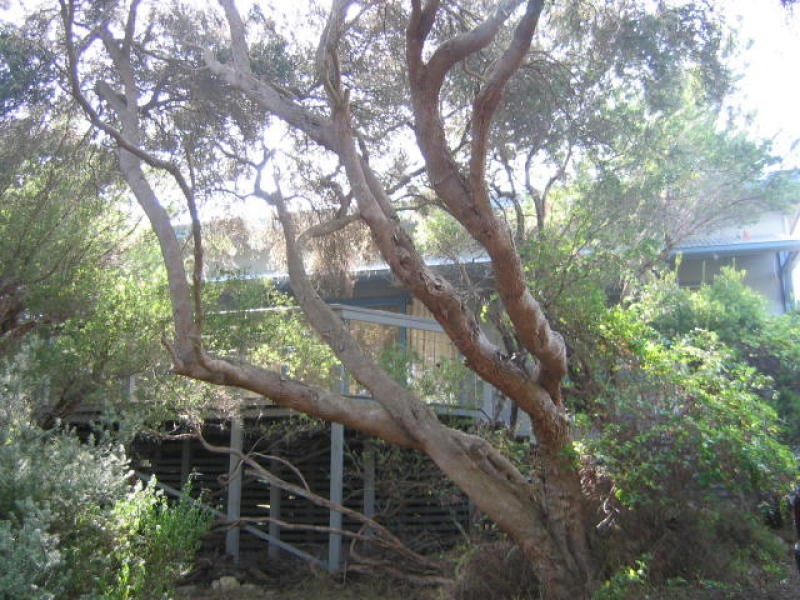 29 Rosyth Road, Rye VIC 3941