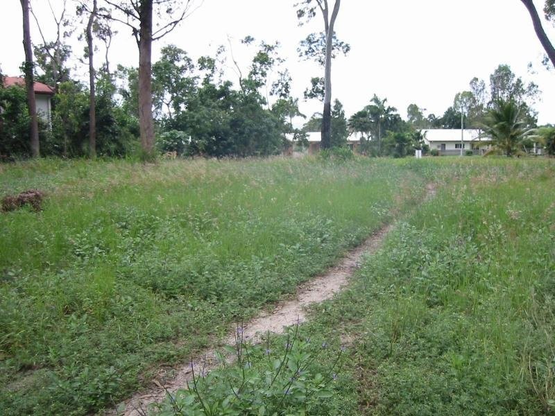 11 Griffin Court, Cardwell QLD 4849