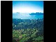 Lot 25 Cycad Crescent, Cardwell QLD 4849