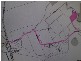 Lot 1 Bluff Road, Bilyana QLD 4854