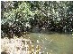 Lot 1 Bluff Road, Bilyana QLD 4854