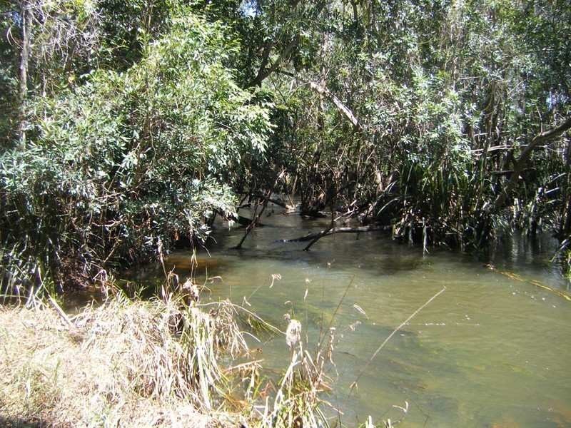 Lot 1 Bluff Road, Bilyana QLD 4854