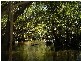 Lot 1 Bluff Road, Bilyana QLD 4854