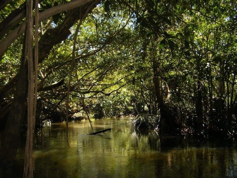 Lot 1 Bluff Road, Bilyana QLD 4854