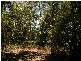 Lot 1 Bluff Road, Bilyana QLD 4854