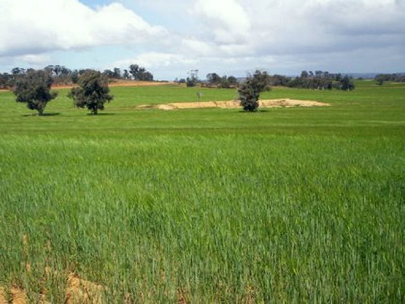 4053 Popanyinning East Road, Popanyinning WA 6309