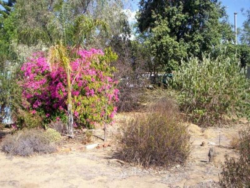 32 Dalton Street, Yealering WA 6372