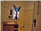 75 Ridley Street, Cuballing WA 6311