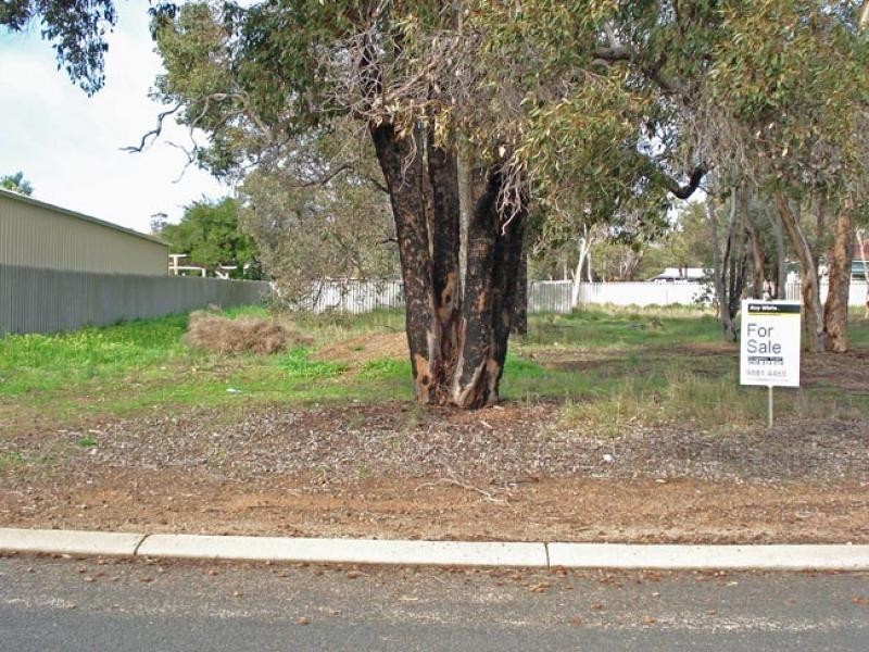 93 Lock Street, Narrogin WA 6312