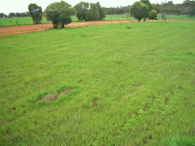 18 Channon Street, Williams WA 6391