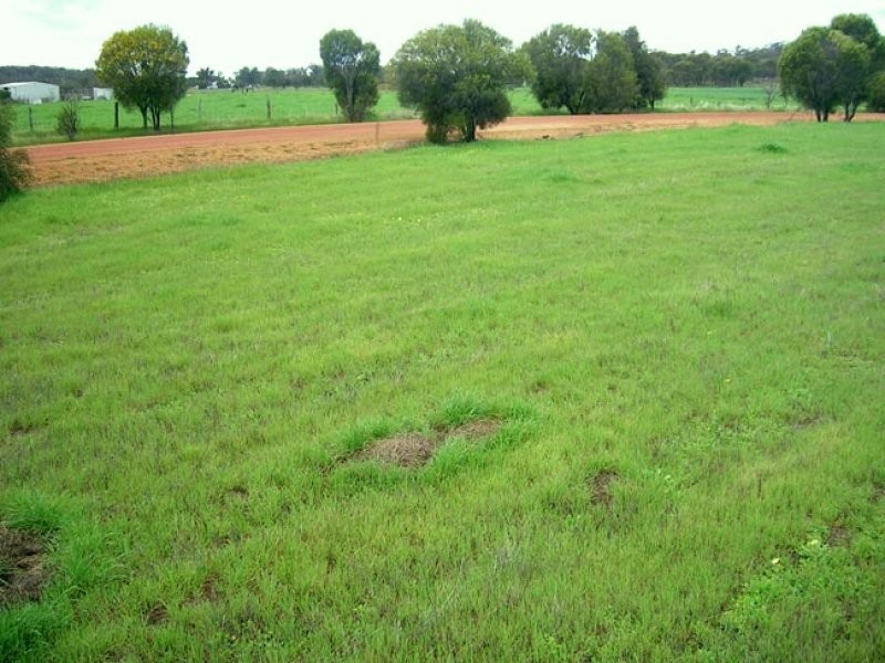 18 Channon Street, Williams WA 6391