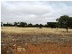 123 Hart Street, Cuballing WA 6311