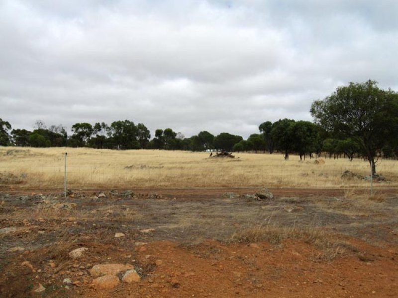 123 Hart Street, Cuballing WA 6311