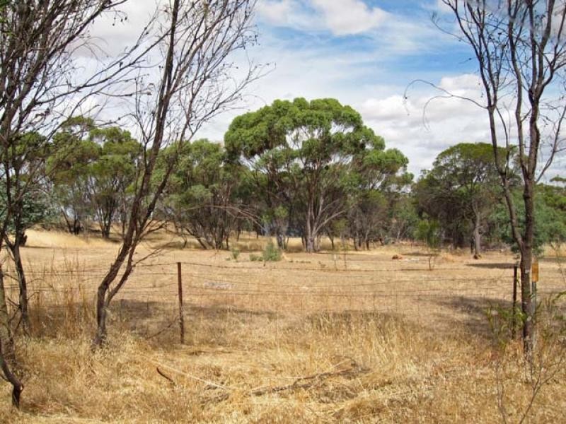 24 Balfour Street, Pingelly WA 6308