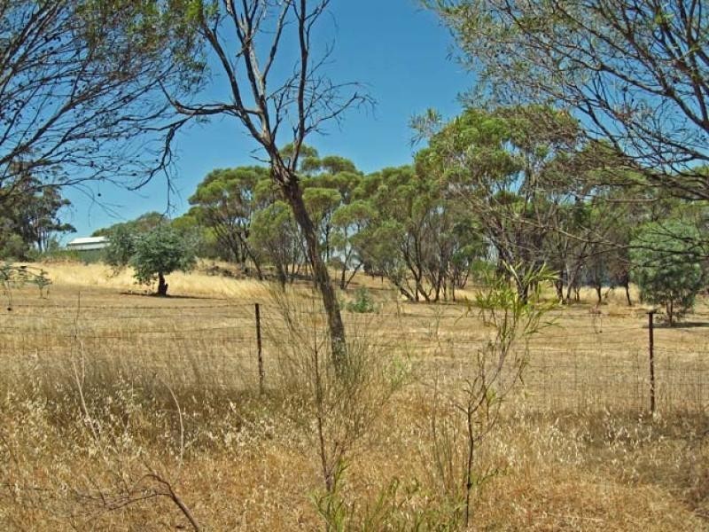 24 Balfour Street, Pingelly WA 6308