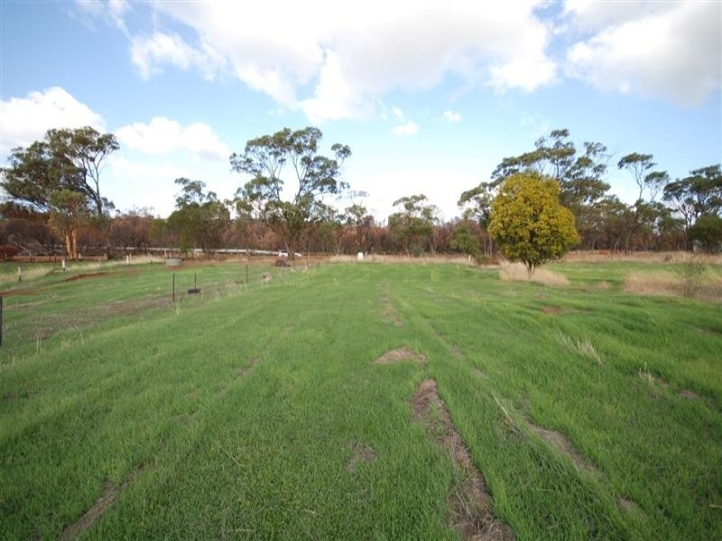 175 Narrogin Road, Williams WA 6391