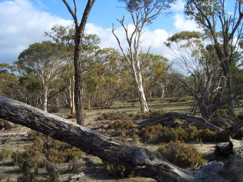 Lot 2560 Great Southern Highway, Highbury WA 6313