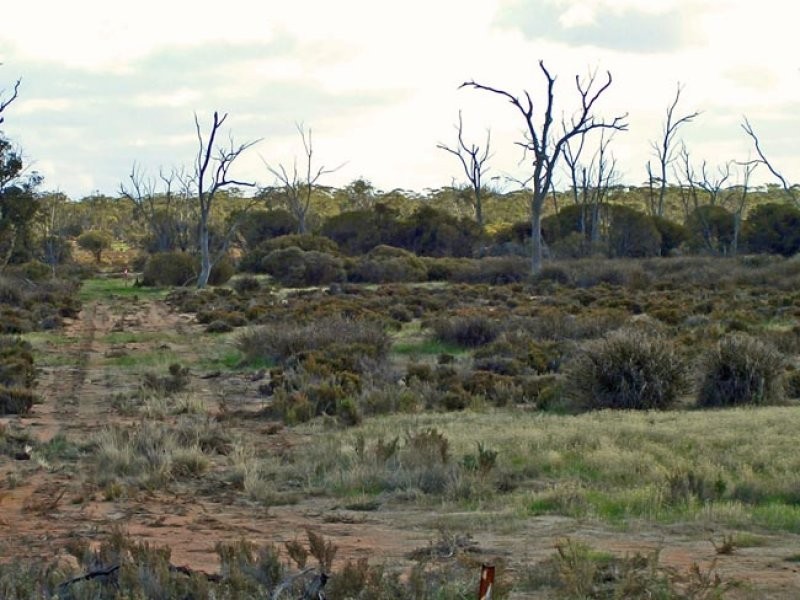 Lot 2560 Great Southern Highway, Highbury WA 6313