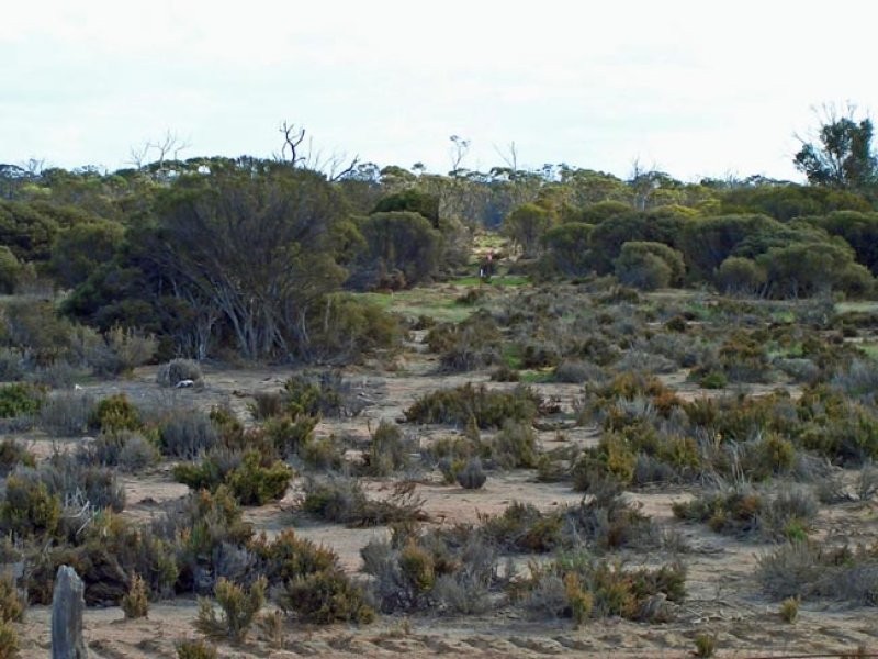 Lot 2560 Great Southern Highway, Highbury WA 6313