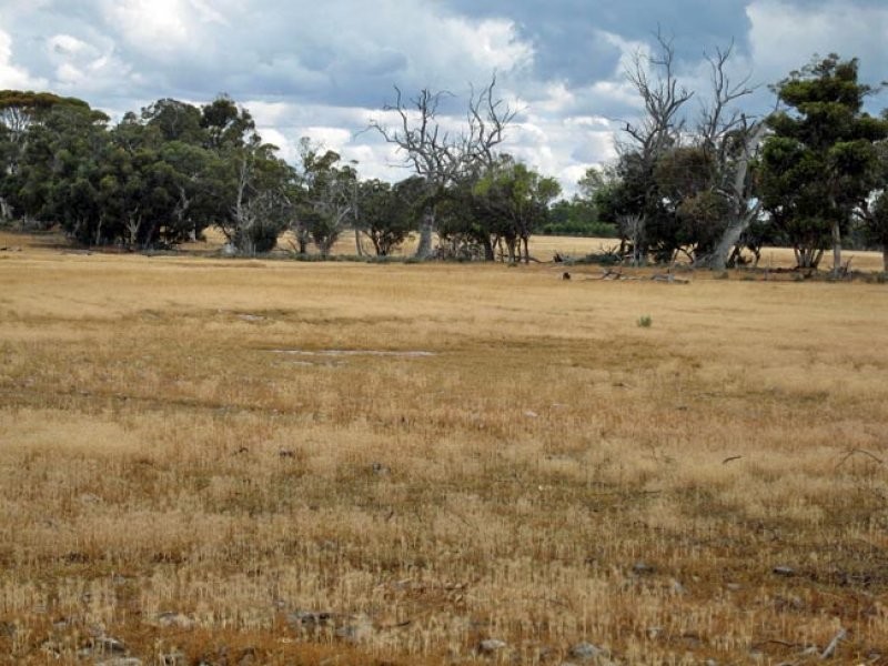 Lot 2269 Daylesford Road, Popanyinning WA 6309