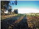 Lot 85 Brown Road, Narrogin WA 6312