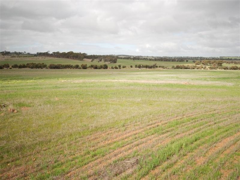 5 Bunmulling Road, Popanyinning WA 6309