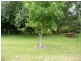 5/182 Middleton Road, Mira Mar, Albany WA 6330