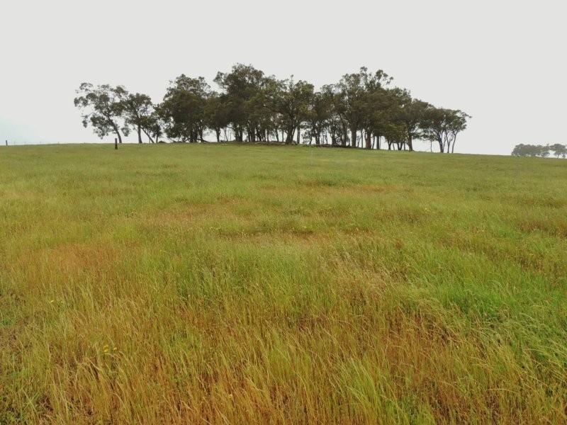 488 Deep Creek Road, Kalgan WA 6330