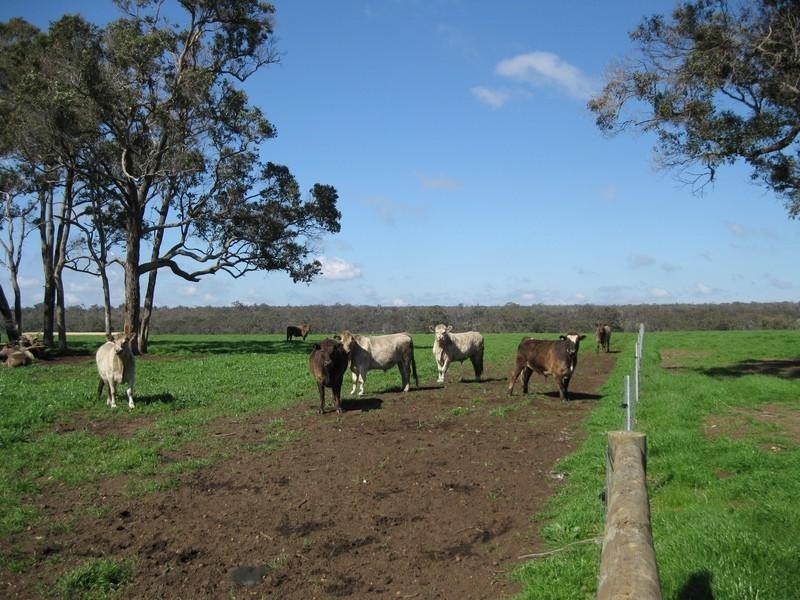 Lot 637 Wilson Road, Mount Barker WA 6324