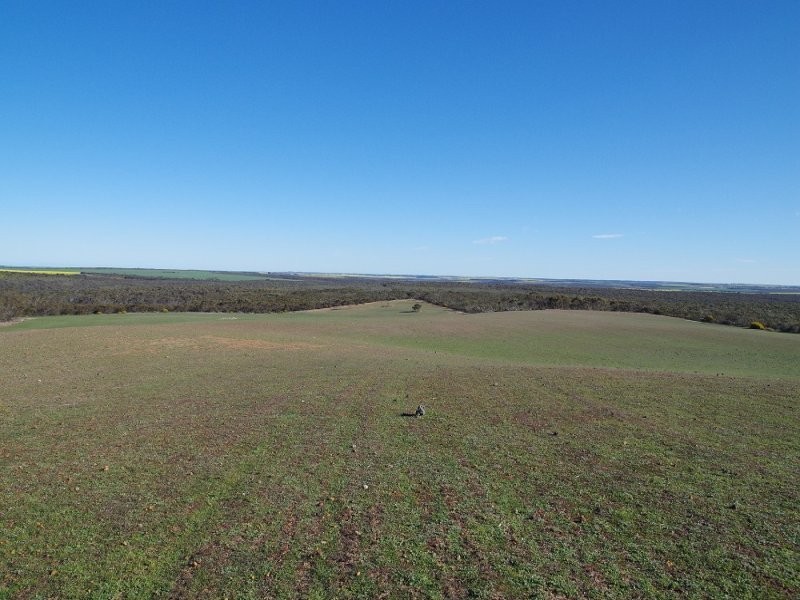 1243 Melaleuca Road, Munglinup WA 6450