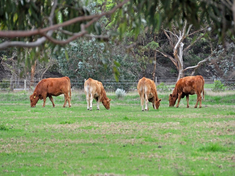 30 Henderson Road, Mckail WA 6330