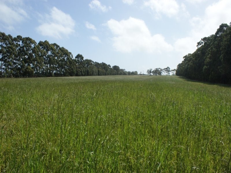 Lot B, Lot 5496 Chester Pass Road, Walmsley WA 6330