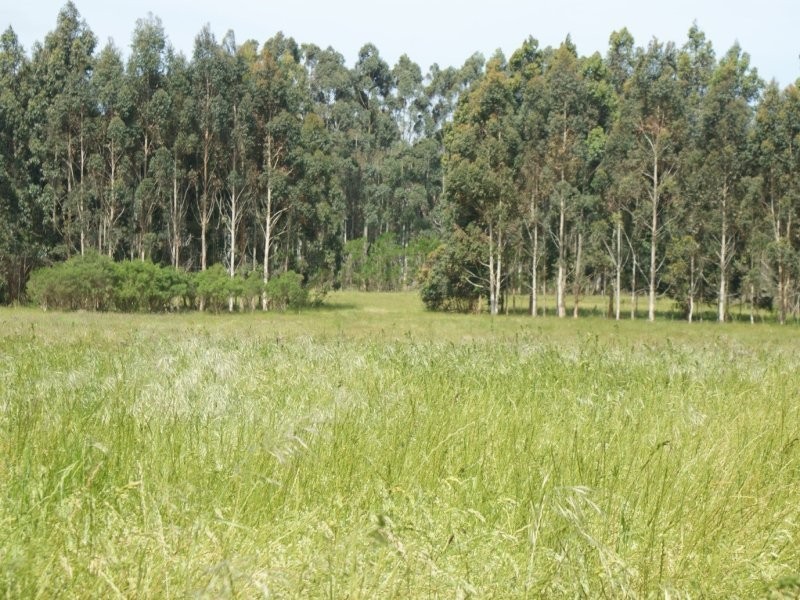 Lot B, Lot 5496 Chester Pass Road, Walmsley WA 6330