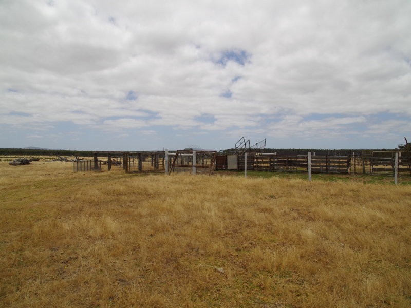 Lot 100,  Jackson Road, Narrikup WA 6326