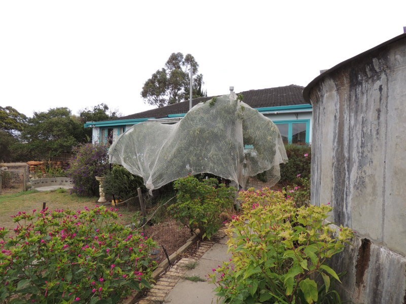 1304 Takalarup Road, Takalarup WA 6324