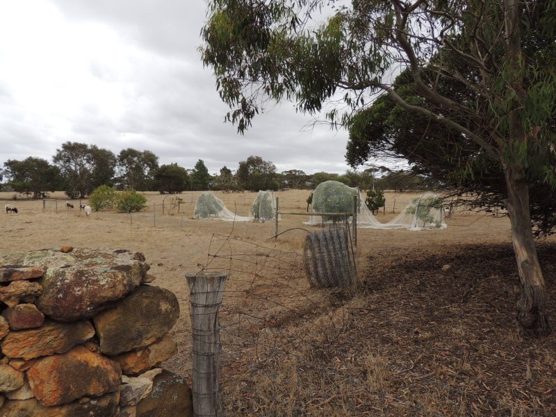 1304 Takalarup Road, Takalarup WA 6324