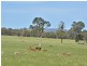 56, 207 Bonaccord Road, Kalgan WA 6330