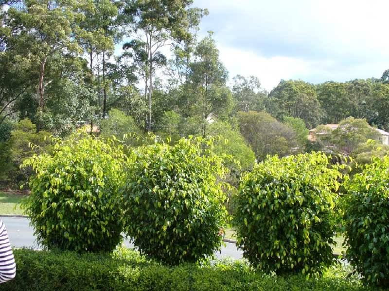 33 Cowrie Pde, Albany Creek QLD 4035