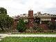 527 Schaefer St, Lavington NSW 2641