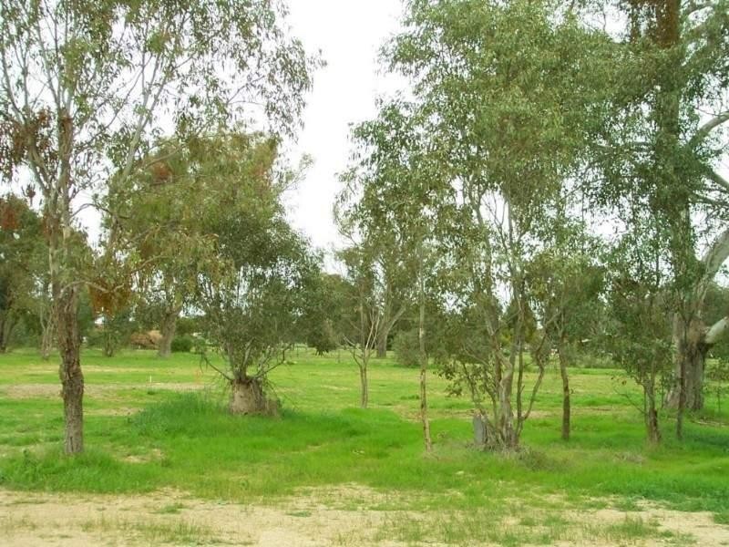 Lot 7 William Place, Howlong NSW 2643